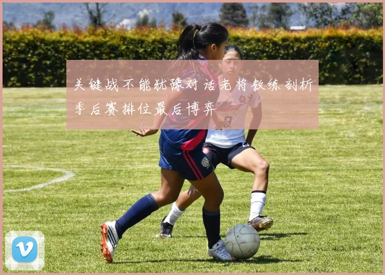 关键战不能犹豫对话老将教练剖析季后赛排位最后博弈