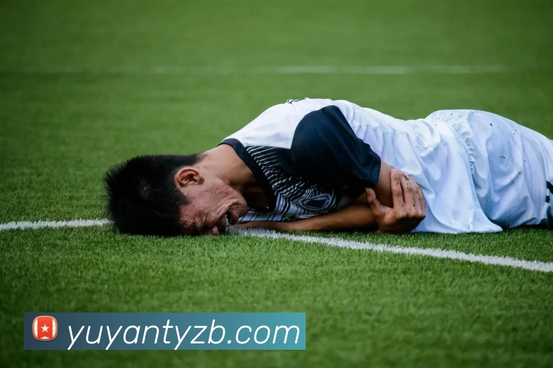 雨燕体育直播平台生态图