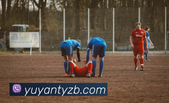 雨燕体育直播全站App